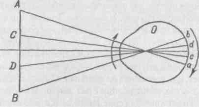 Элементы мысли Элементы мысли