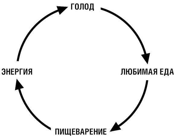Начни худеть сейчас. Легкий способ сбросить вес - теперь еще легче и еще эффективнее (+ СD) Начни худеть сейчас. Легкий способ сбросить вес - теперь еще легче и еще эффективнее (+ СD)