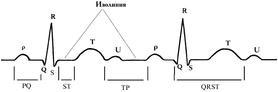 Полный медицинский справочник фельдшера Полный медицинский справочник фельдшера