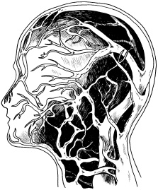 Полный медицинский справочник диагностики Полный медицинский справочник диагностики