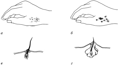 Полный медицинский справочник диагностики Полный медицинский справочник диагностики