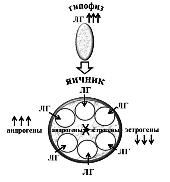 Бесплодие – не приговор! Бесплодие – не приговор!