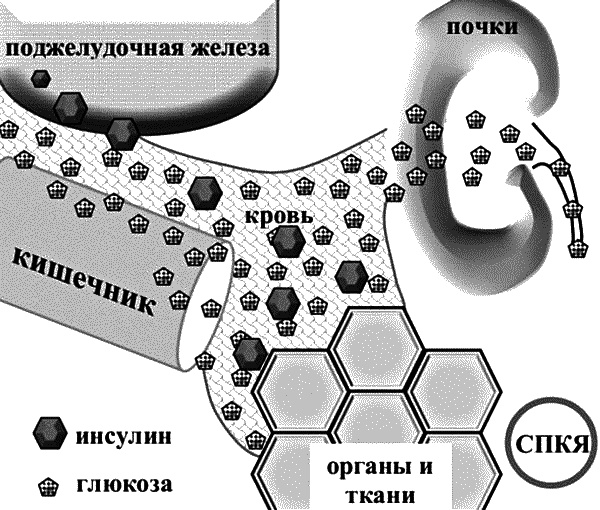 Бесплодие – не приговор! Бесплодие – не приговор!