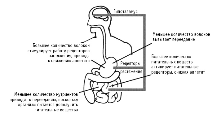 Питание как основа здоровья. Самый простой и естественный способ за 6 недель восстановить силы организма и сбросить лишний вес Питание как основа здоровья. Самый простой и естественный способ за 6 недель восстановить силы организма и сбросить лишний вес