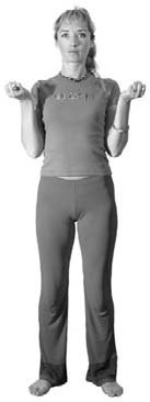 Кинезитерапия суставов и позвоночника Кинезитерапия суставов и позвоночника