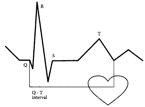 Здоровое сердце и сосуды Здоровое сердце и сосуды