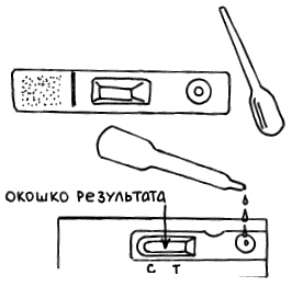 Все, что будущая мама хочет знать, но не знает, у кого спросить Все, что будущая мама хочет знать, но не знает, у кого спросить