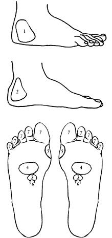 Сексуальное здоровье мужчины и женщины. Эффективные методы лечения и профилактики заболеваний Сексуальное здоровье мужчины и женщины. Эффективные методы лечения и профилактики заболеваний