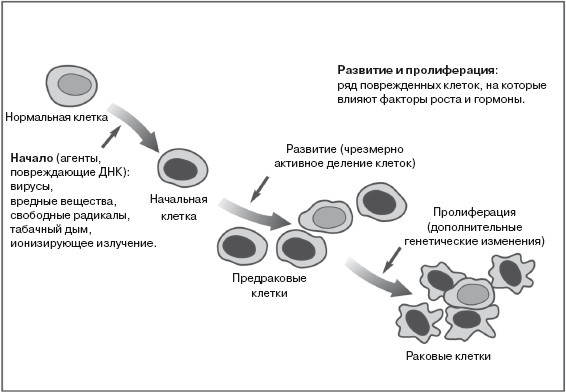 Ваша жизнь в ваших руках. Как понять, победить и предотвратить рак груди и яичников Ваша жизнь в ваших руках. Как понять, победить и предотвратить рак груди и яичников