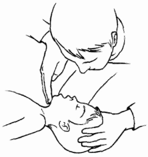 Неотложная помощь. Справочник для родителей. Всегда под рукой Неотложная помощь. Справочник для родителей. Всегда под рукой