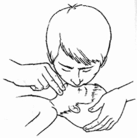 Неотложная помощь. Справочник для родителей. Всегда под рукой Неотложная помощь. Справочник для родителей. Всегда под рукой