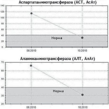 Сыроедение против предрассудков. Эволюция в питании человека Сыроедение против предрассудков. Эволюция в питании человека