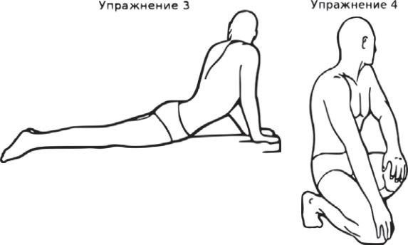 Сыроедение против предрассудков. Эволюция в питании человека Сыроедение против предрассудков. Эволюция в питании человека