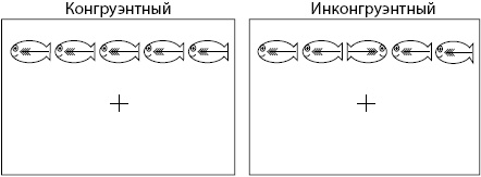Тайны мозга вашего ребенка Тайны мозга вашего ребенка
