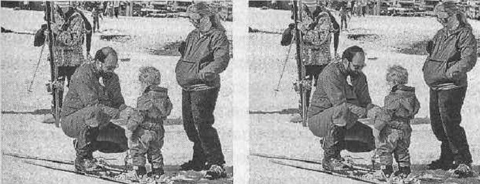 Тайны нашего мозга, или Почему умные люди делают глупости Тайны нашего мозга, или Почему умные люди делают глупости