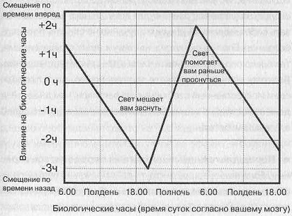 Тайны нашего мозга, или Почему умные люди делают глупости Тайны нашего мозга, или Почему умные люди делают глупости