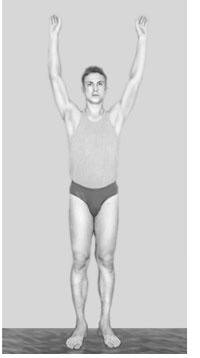 Гимнастика будущего Гимнастика будущего