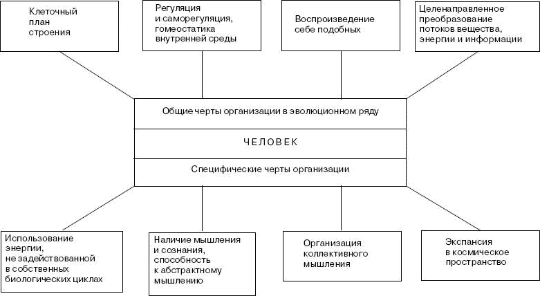 Человек в экстремальной ситуации Человек в экстремальной ситуации