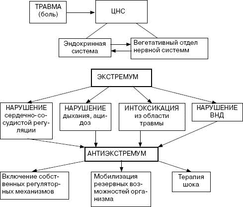 Человек в экстремальной ситуации Человек в экстремальной ситуации