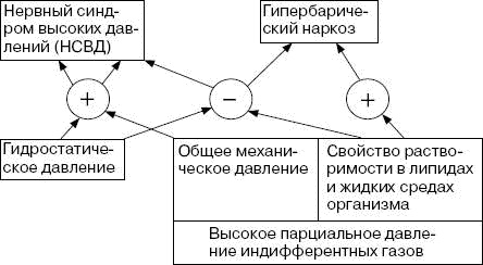 Человек в экстремальной ситуации Человек в экстремальной ситуации