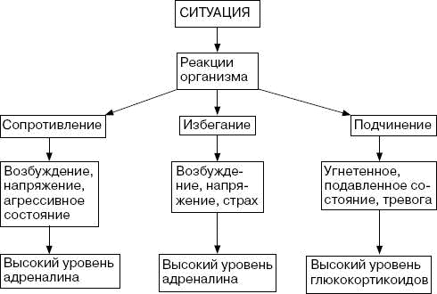 Человек в экстремальной ситуации Человек в экстремальной ситуации