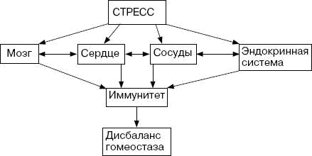 Человек в экстремальной ситуации Человек в экстремальной ситуации