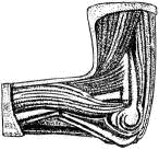 Человек в экстремальной ситуации Человек в экстремальной ситуации