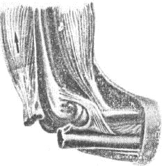 Человек в экстремальной ситуации Человек в экстремальной ситуации