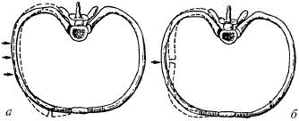 Человек в экстремальной ситуации Человек в экстремальной ситуации