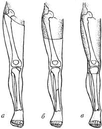 Человек в экстремальной ситуации Человек в экстремальной ситуации
