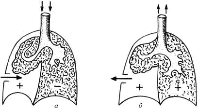 Человек в экстремальной ситуации Человек в экстремальной ситуации