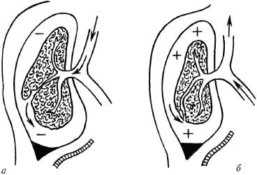 Человек в экстремальной ситуации Человек в экстремальной ситуации