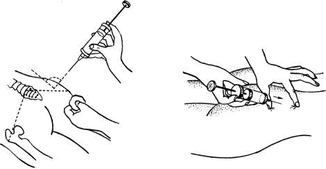 Человек в экстремальной ситуации Человек в экстремальной ситуации