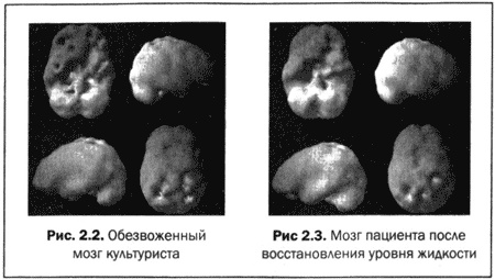 Великолепный мозг в любом возрасте Великолепный мозг в любом возрасте