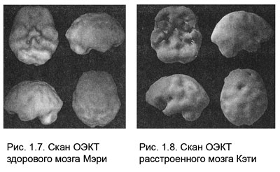 Измени свой мозг - изменится и тело! Измени свой мозг - изменится и тело!