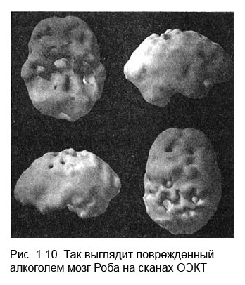 Измени свой мозг - изменится и тело! Измени свой мозг - изменится и тело!