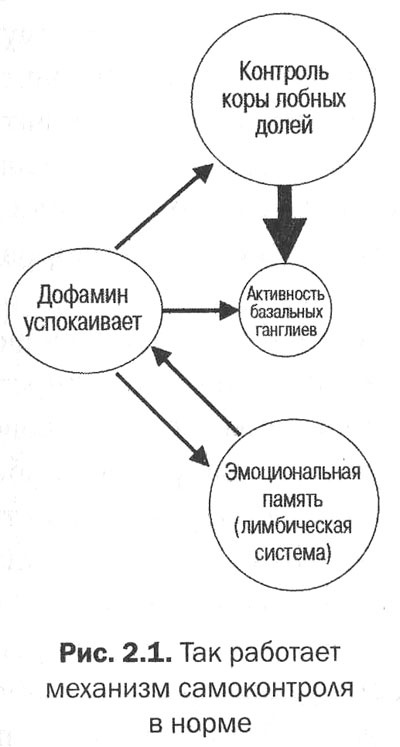 Измени свой мозг - изменится и тело! Измени свой мозг - изменится и тело!