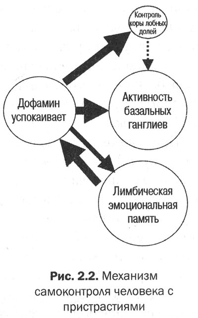 Измени свой мозг - изменится и тело! Измени свой мозг - изменится и тело!