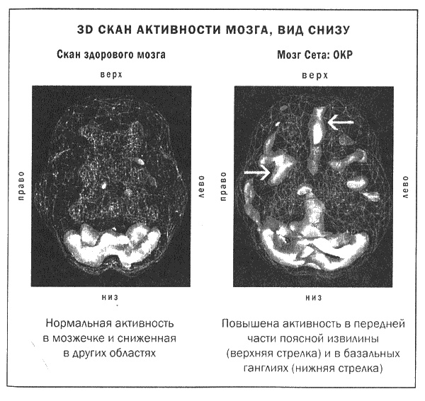 Мозг и душа. Новые открытия о влиянии мозга на характер, чувства, эмоции Мозг и душа. Новые открытия о влиянии мозга на характер, чувства, эмоции
