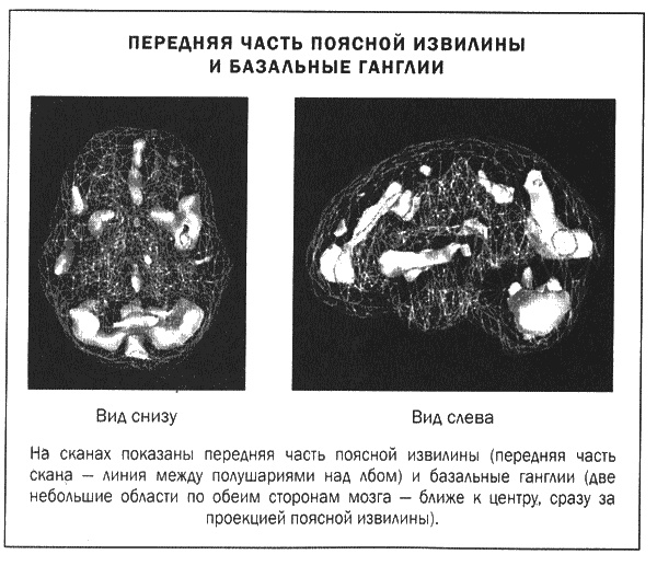 Мозг и душа. Новые открытия о влиянии мозга на характер, чувства, эмоции Мозг и душа. Новые открытия о влиянии мозга на характер, чувства, эмоции