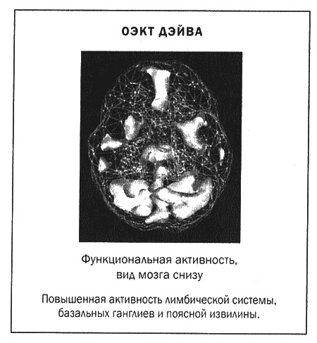 Мозг и душа. Новые открытия о влиянии мозга на характер, чувства, эмоции Мозг и душа. Новые открытия о влиянии мозга на характер, чувства, эмоции
