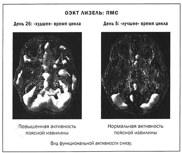 Мозг и душа. Новые открытия о влиянии мозга на характер, чувства, эмоции Мозг и душа. Новые открытия о влиянии мозга на характер, чувства, эмоции
