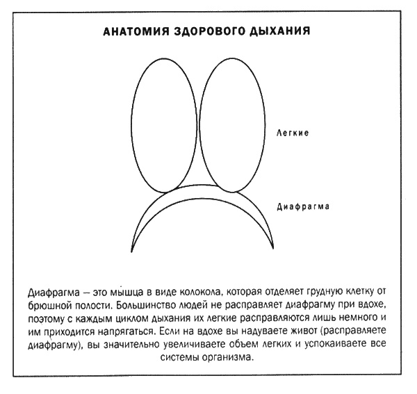 Мозг и душа. Новые открытия о влиянии мозга на характер, чувства, эмоции Мозг и душа. Новые открытия о влиянии мозга на характер, чувства, эмоции