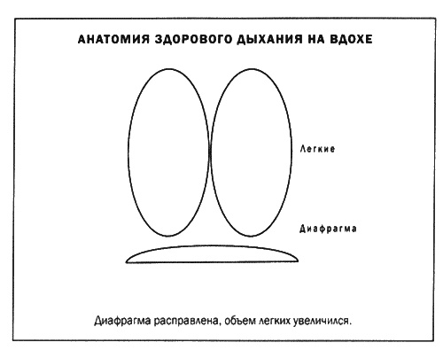 Мозг и душа. Новые открытия о влиянии мозга на характер, чувства, эмоции Мозг и душа. Новые открытия о влиянии мозга на характер, чувства, эмоции