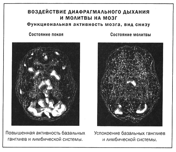 Мозг и душа. Новые открытия о влиянии мозга на характер, чувства, эмоции Мозг и душа. Новые открытия о влиянии мозга на характер, чувства, эмоции