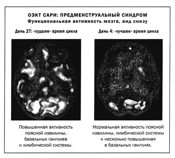 Мозг и душа. Новые открытия о влиянии мозга на характер, чувства, эмоции Мозг и душа. Новые открытия о влиянии мозга на характер, чувства, эмоции