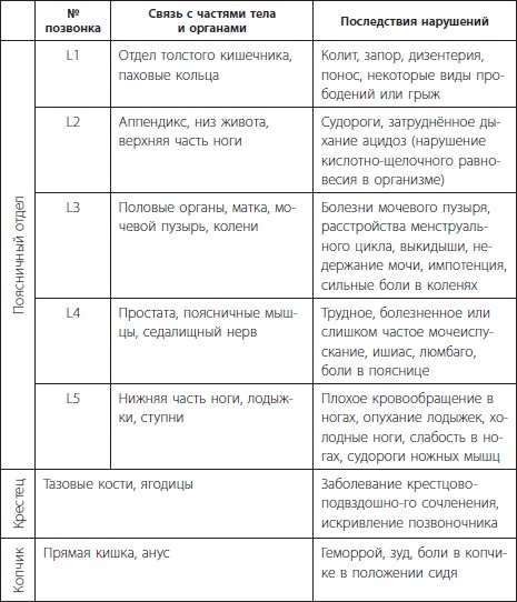 3 лучшие системы от боли в спине 3 лучшие системы от боли в спине