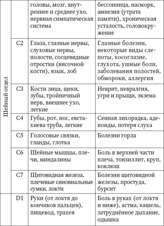 Ваш здоровый позвоночник Ваш здоровый позвоночник
