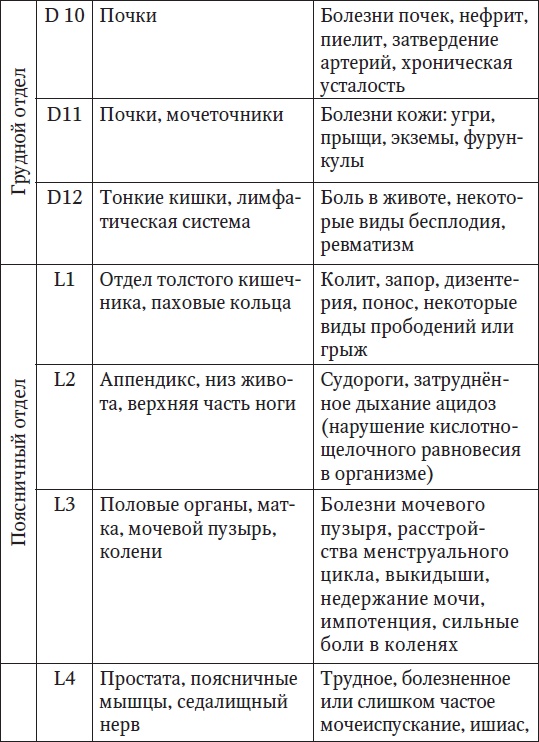 Ваш здоровый позвоночник Ваш здоровый позвоночник