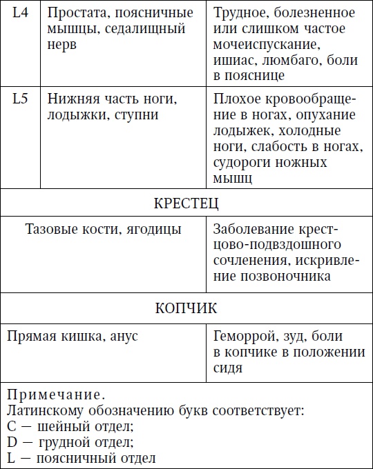 Жизнь без боли в пояснице Жизнь без боли в пояснице